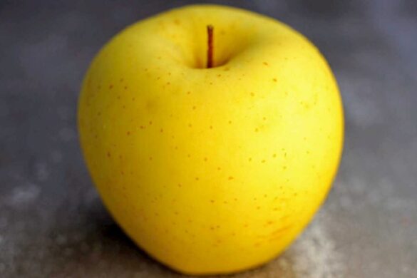 the Delicious World of Yellow Apples