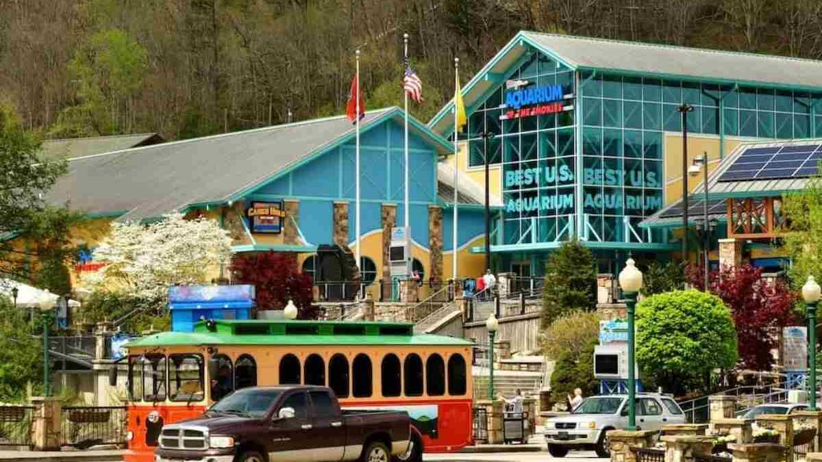 Ideas and Tips for a Fun-Filled Vacation in the Smokies with Kids