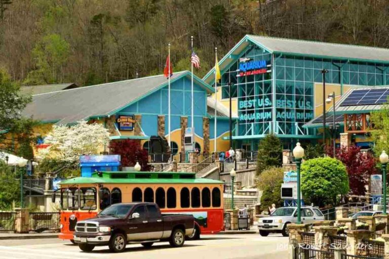 vacation in the Smokies with kids