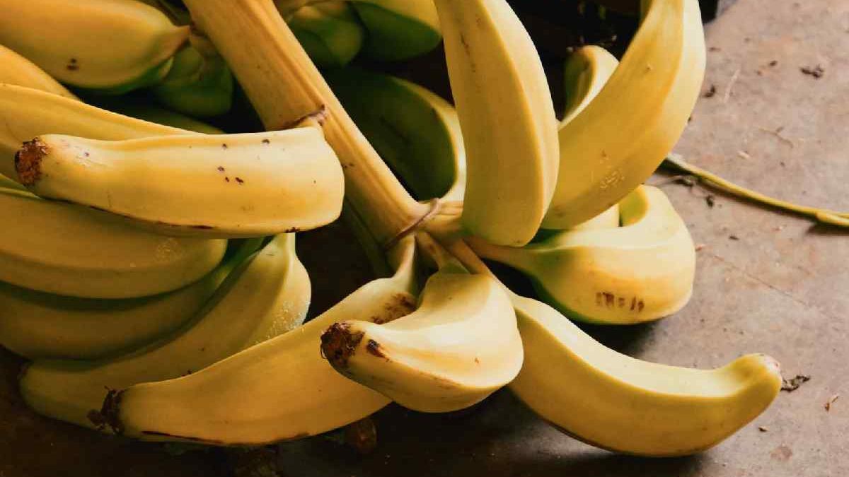 Benefits of Banana: Why You Should Eat This Superfruit Daily