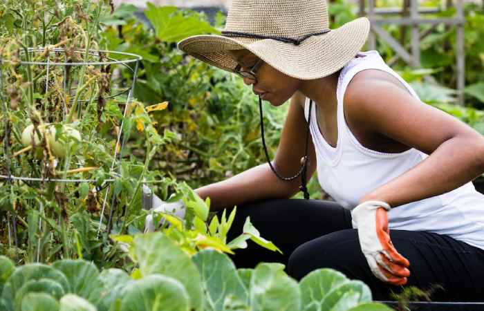 Permaculture Write For Us