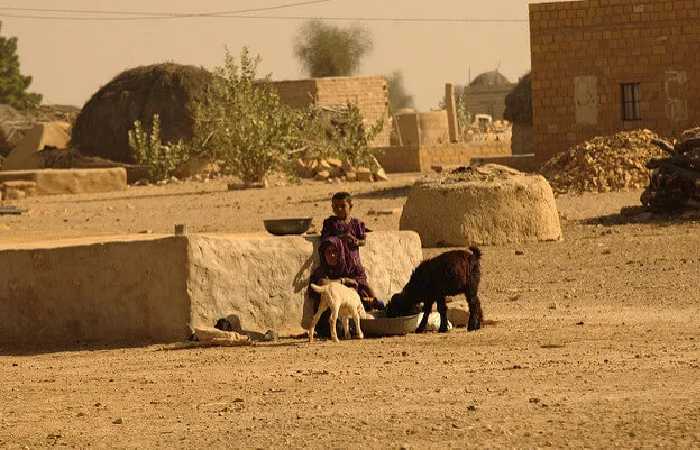 Rural Lifestyle