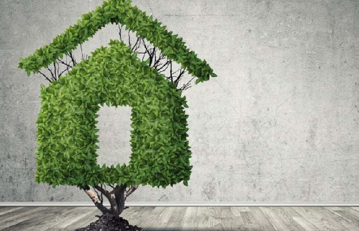 Green Living Write For Us