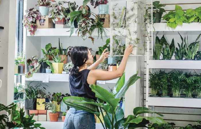 Indoor Gardening Write For Us