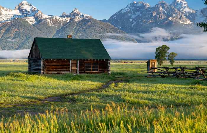 Homesteading Write For Us