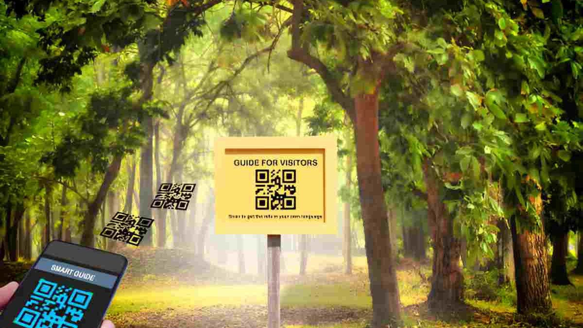 The Quiet Revolution of QR Codes in Modern Rural Life