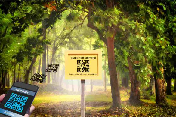The Quiet Revolution of QR Codes in Modern Rural Life