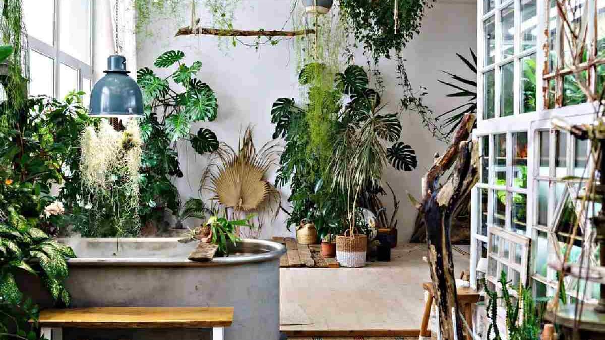 Green chic: trending plants into indoor spaces