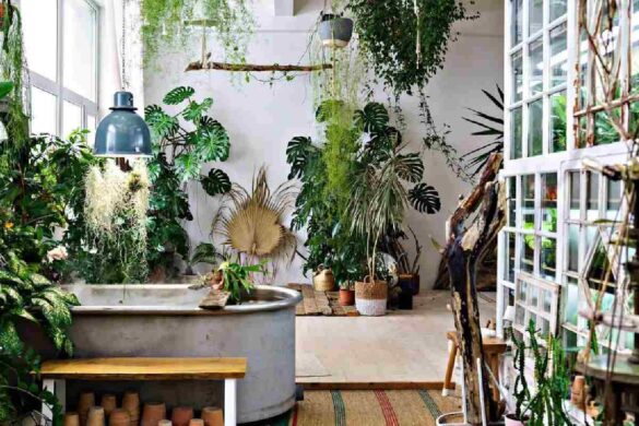 Green chic: trending plants into indoor spaces