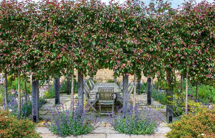 Layered Plant Zoning