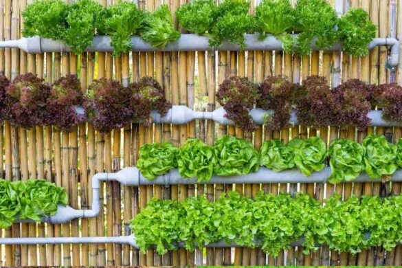 Container and Vertical