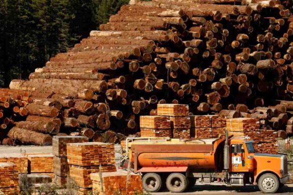 Lumber Market: Strategies for Effective Estimating